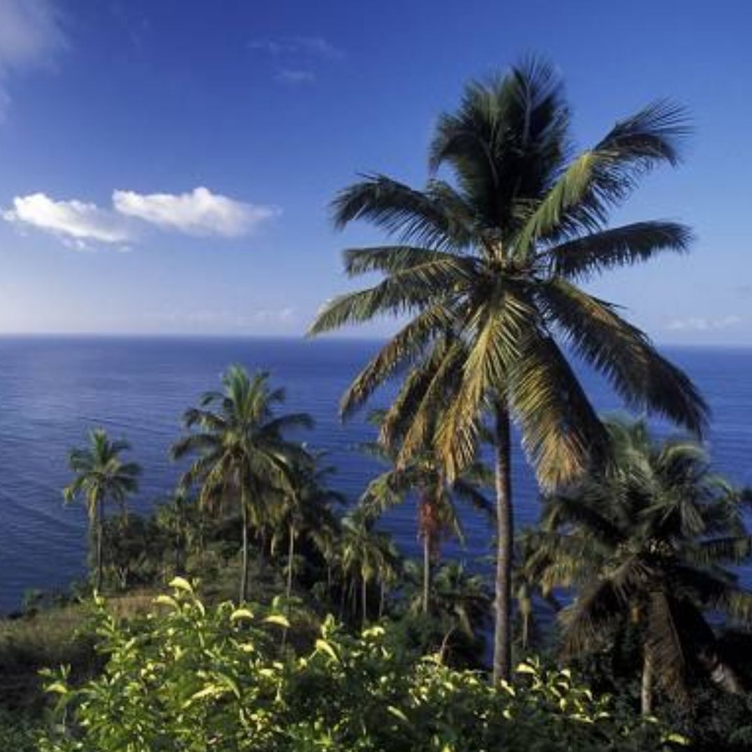 The Leading Online Diamond Jewelry Company in Comoros, Africa